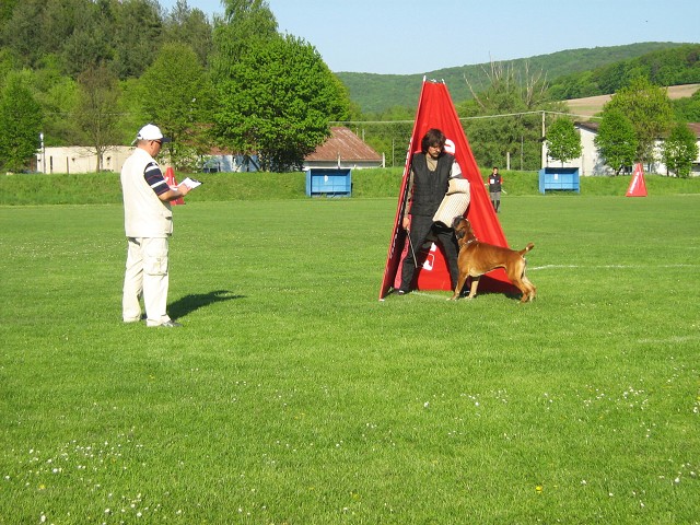 www.atibox.net * www.euroboxer.eu * www.boxergenealogia.eu